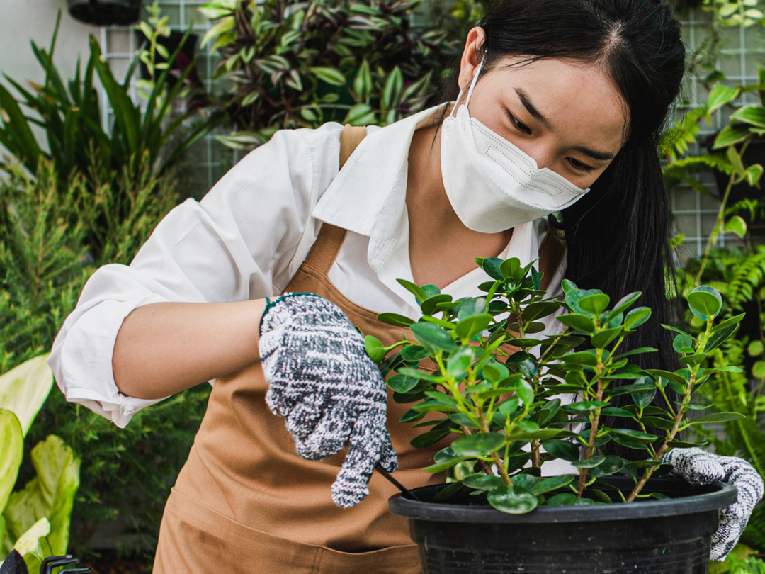 lady in the garden wearing mask and gloves
