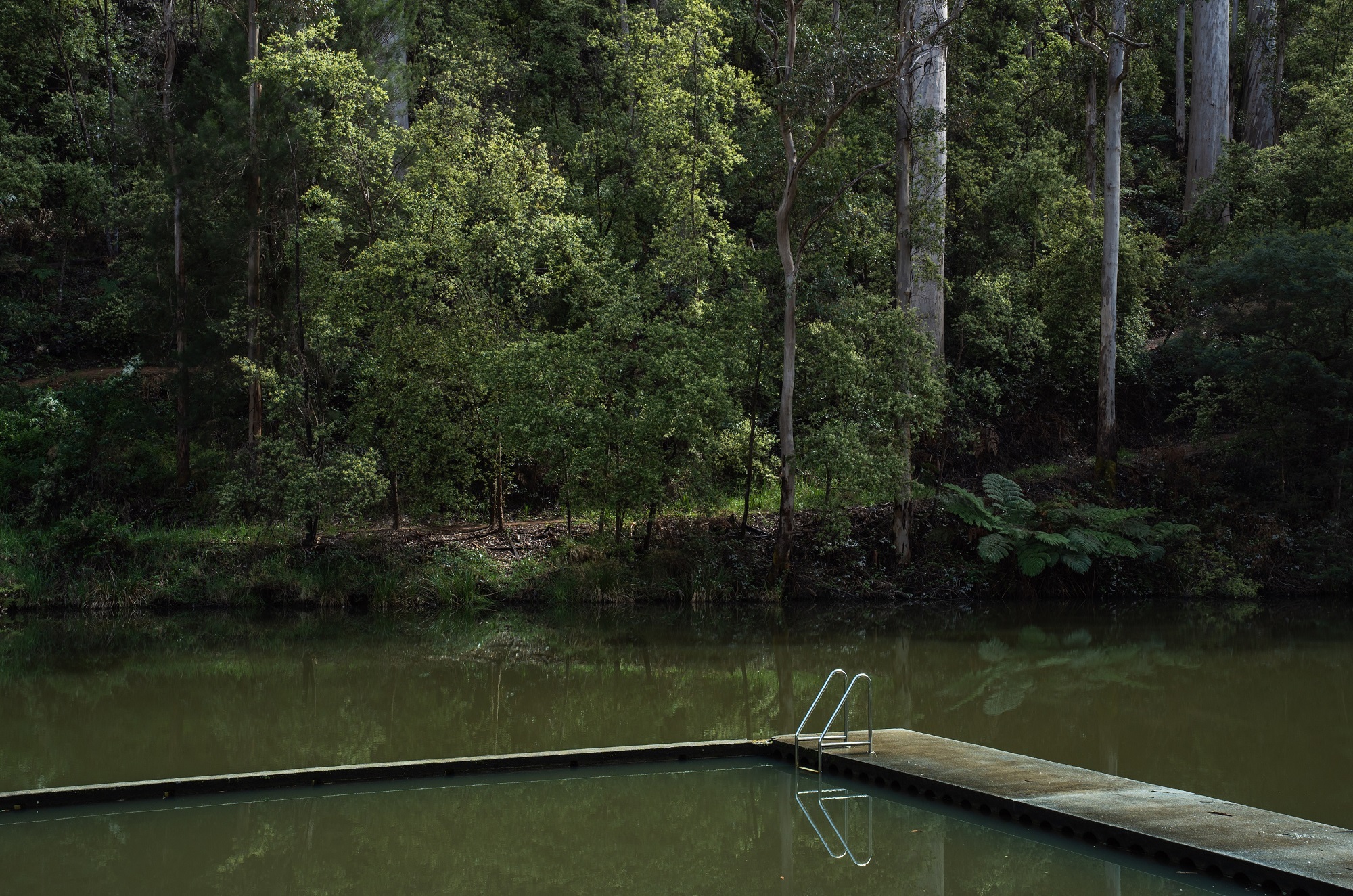 stagnant water at Pemberton pool